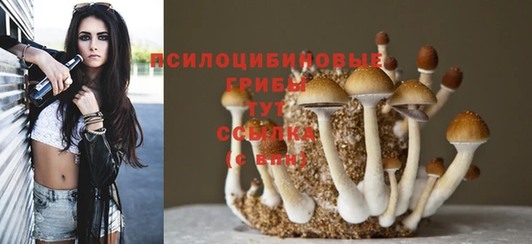 PSILOCYBIN Каменногорск