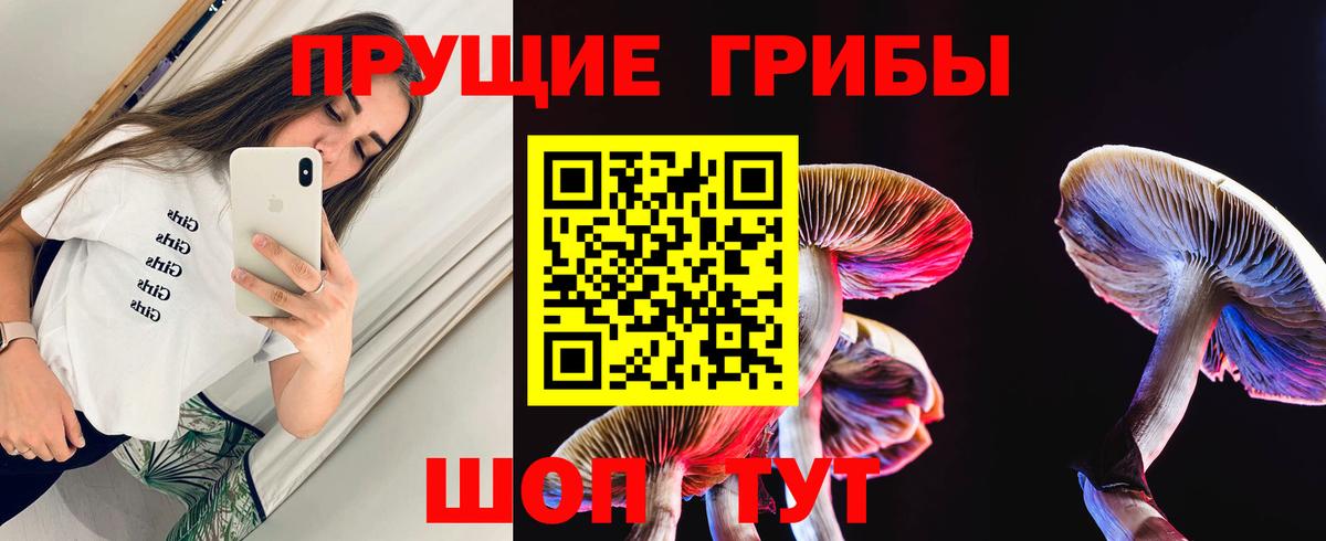 Псилоцибиновые грибы прущие грибы Кропоткин