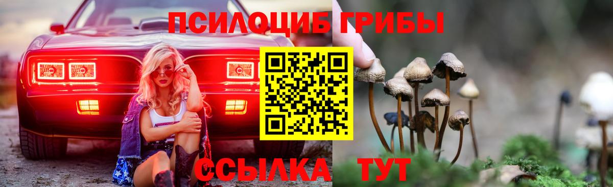 Кропоткин  Галлюциногенные грибы мицелий  Вход с VPN  Псилоцибиновые грибы мухоморы 